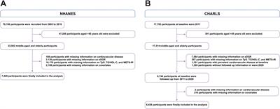 Association between various insulin resistance indices and cardiovascular disease in middle-aged and elderly individuals: evidence from two prospectives nationwide cohort surveys